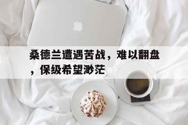高赔率体育平台-桑德兰遭遇苦战，难以翻盘，保级希望渺茫